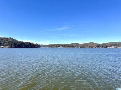 Magazine views!! Henry Neely's BIG WATER is ready for - photo 23