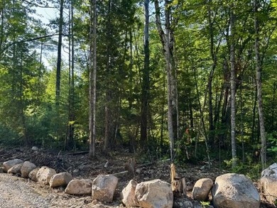 Discover the perfect setting for your dream home on this - photo 4