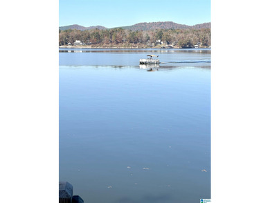 Magazine views!! Henry Neely's BIG WATER is ready for - photo 25