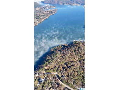 Magazine views!! Henry Neely's BIG WATER is ready for - photo 26