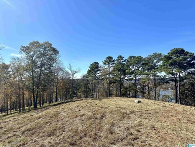 Magazine views!! Henry Neely's BIG WATER is ready for - photo 33