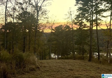Magazine views!! Henry Neely's BIG WATER is ready for - photo 34