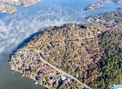 Magazine views!! Henry Neely's BIG WATER is ready for - photo 40