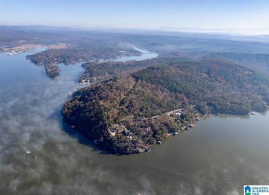 Magazine views!! Henry Neely's BIG WATER is ready for - photo 41