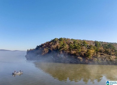 Magazine views!! Henry Neely's BIG WATER is ready for - photo 43