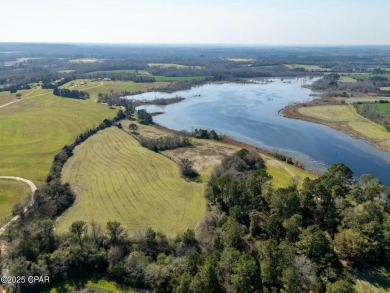 Lake Acreage For Sale in Westville, Florida