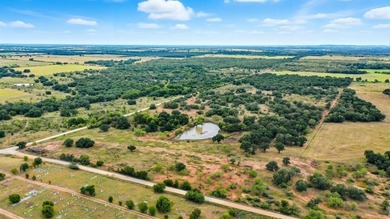 (private lake, pond, creek) Acreage For Sale in Comanche Texas