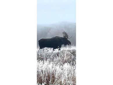 Teton Headwaters Ranch offers 425 contiguous acres in the heart - photo 23