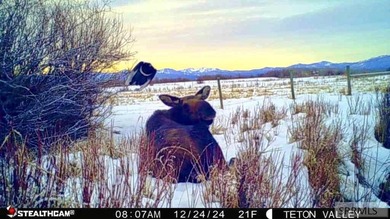 Teton Headwaters Ranch offers 425 contiguous acres in the heart - photo 26