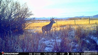 Teton Headwaters Ranch offers 425 contiguous acres in the heart - photo 27