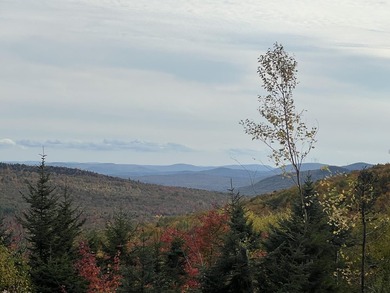 Large 20+ acre tract of land with some amazing mountain views! - photo 1