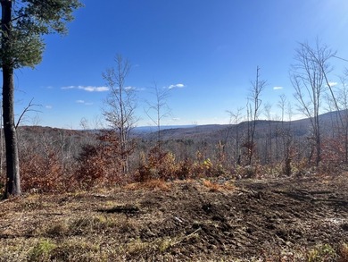 Large 20+ acre tract of land with some amazing mountain views! - photo 3