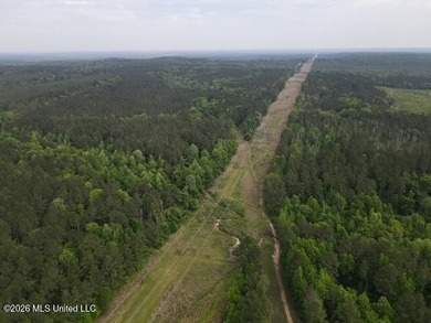 THE COPIAH 171 IS A TURNKEY PROPERTY LOCATED APPROXIMATELY 11 - photo 14