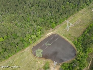 THE COPIAH 171 IS A TURNKEY PROPERTY LOCATED APPROXIMATELY 11 - photo 15