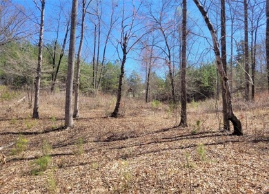 Moonlight Bay on Lake Keowee - Lots 48 & 49 (Total 1.88 Acres) - photo 15