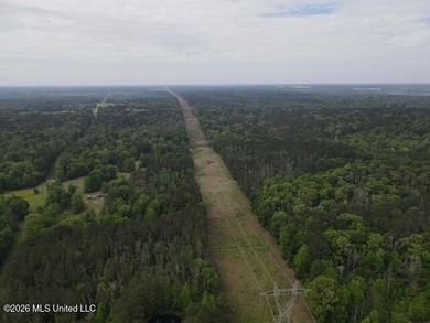 THE COPIAH 171 IS A TURNKEY PROPERTY LOCATED APPROXIMATELY 11 - photo 16