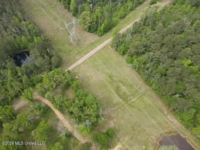 THE COPIAH 171 IS A TURNKEY PROPERTY LOCATED APPROXIMATELY 11 - photo 17