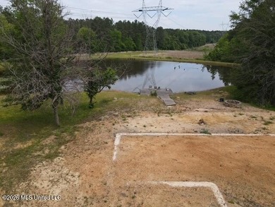 THE COPIAH 171 IS A TURNKEY PROPERTY LOCATED APPROXIMATELY 11 - photo 19