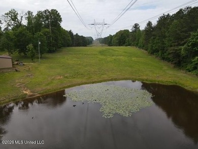 THE COPIAH 171 IS A TURNKEY PROPERTY LOCATED APPROXIMATELY 11 - photo 20