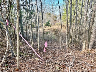 Moonlight Bay on Lake Keowee - Lots 48 & 49 (Total 1.88 Acres) - photo 21