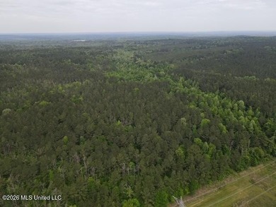 THE COPIAH 171 IS A TURNKEY PROPERTY LOCATED APPROXIMATELY 11 - photo 22
