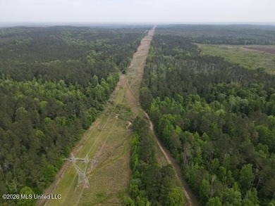 THE COPIAH 171 IS A TURNKEY PROPERTY LOCATED APPROXIMATELY 11 - photo 23