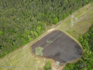 THE COPIAH 171 IS A TURNKEY PROPERTY LOCATED APPROXIMATELY 11 - photo 24