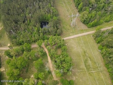 THE COPIAH 171 IS A TURNKEY PROPERTY LOCATED APPROXIMATELY 11 - photo 25
