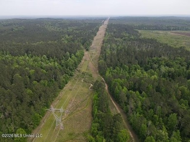 THE COPIAH 171 IS A TURNKEY PROPERTY LOCATED APPROXIMATELY 11 - photo 29