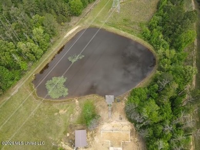 THE COPIAH 171 IS A TURNKEY PROPERTY LOCATED APPROXIMATELY 11 - photo 30