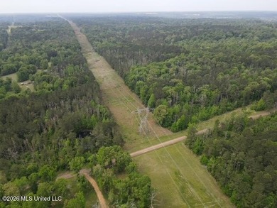THE COPIAH 171 IS A TURNKEY PROPERTY LOCATED APPROXIMATELY 11 - photo 31
