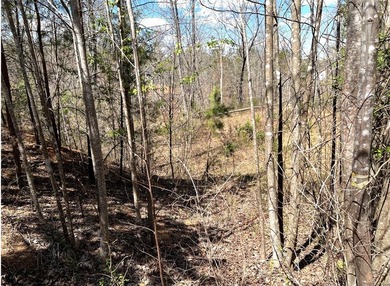 Moonlight Bay on Lake Keowee - Lots 48 & 49 (Total 1.88 Acres) - photo 32