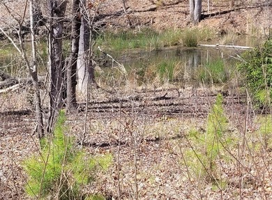 Moonlight Bay on Lake Keowee - Lots 48 & 49 (Total 1.88 Acres) - photo 33
