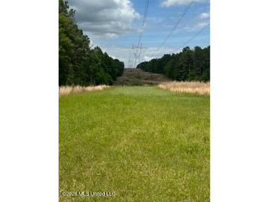 THE COPIAH 171 IS A TURNKEY PROPERTY LOCATED APPROXIMATELY 11 - photo 35