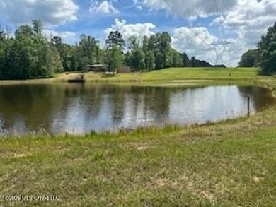 THE COPIAH 171 IS A TURNKEY PROPERTY LOCATED APPROXIMATELY 11 - photo 36