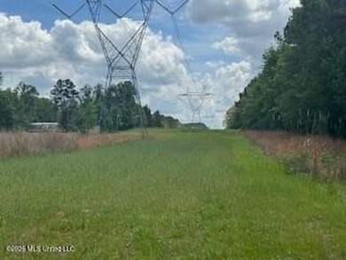 THE COPIAH 171 IS A TURNKEY PROPERTY LOCATED APPROXIMATELY 11 - photo 39