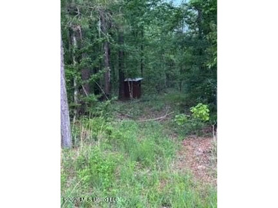 THE COPIAH 171 IS A TURNKEY PROPERTY LOCATED APPROXIMATELY 11 - photo 40