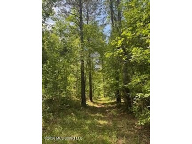 THE COPIAH 171 IS A TURNKEY PROPERTY LOCATED APPROXIMATELY 11 - photo 41