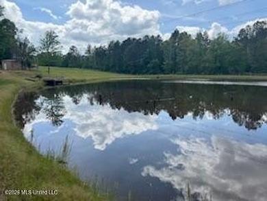 THE COPIAH 171 IS A TURNKEY PROPERTY LOCATED APPROXIMATELY 11 - photo 43