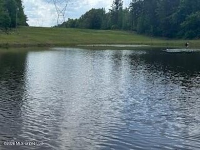 THE COPIAH 171 IS A TURNKEY PROPERTY LOCATED APPROXIMATELY 11 - photo 45