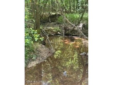 THE COPIAH 171 IS A TURNKEY PROPERTY LOCATED APPROXIMATELY 11 - photo 46