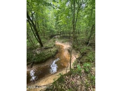THE COPIAH 171 IS A TURNKEY PROPERTY LOCATED APPROXIMATELY 11 - photo 47