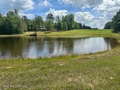 THE COPIAH 171 IS A TURNKEY PROPERTY LOCATED APPROXIMATELY 11 - photo 48
