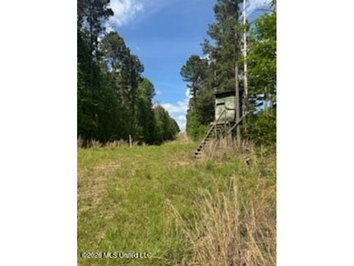 THE COPIAH 171 IS A TURNKEY PROPERTY LOCATED APPROXIMATELY 11 - photo 50