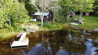 Lake Home For Sale in Molunkus Twp, Maine