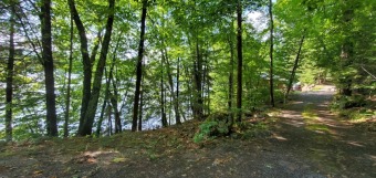 Lake Front  Building Lot  - Lake Acreage For Sale in Horicon, New York