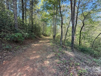 Rare opportunity! 4-lot package for sale. Lot's 28,29,31 and 32 - photo 4