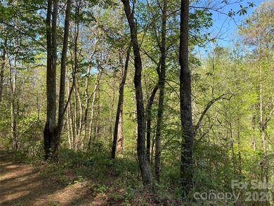 Rare opportunity! 4-lot package for sale. Lot's 28,29,31 and 32 - photo 7