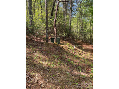 Rare opportunity! 4-lot package for sale. Lot's 28,29,31 and 32 - photo 8