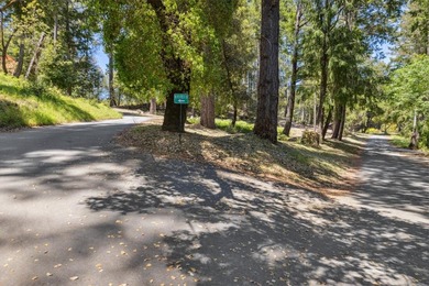 Build-ready 1.6-acre parcel in Bonny Doon with two optional - photo 11